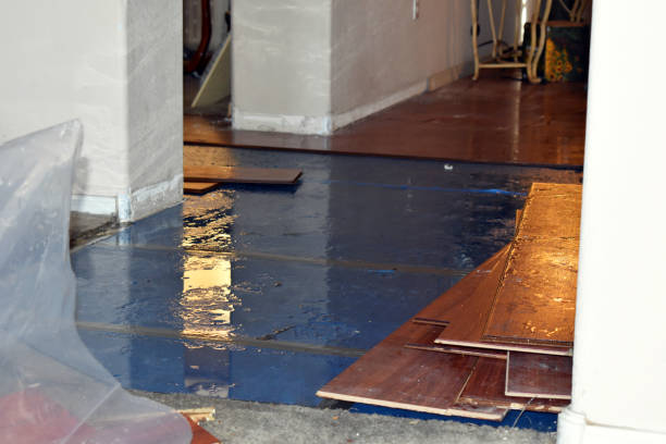 Professional Basement Flood Cleanup technician working in Fremont, WI